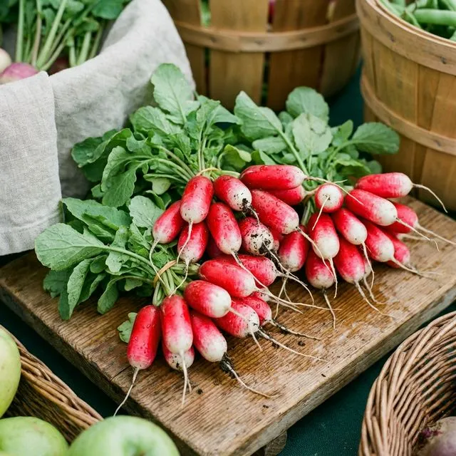Radish