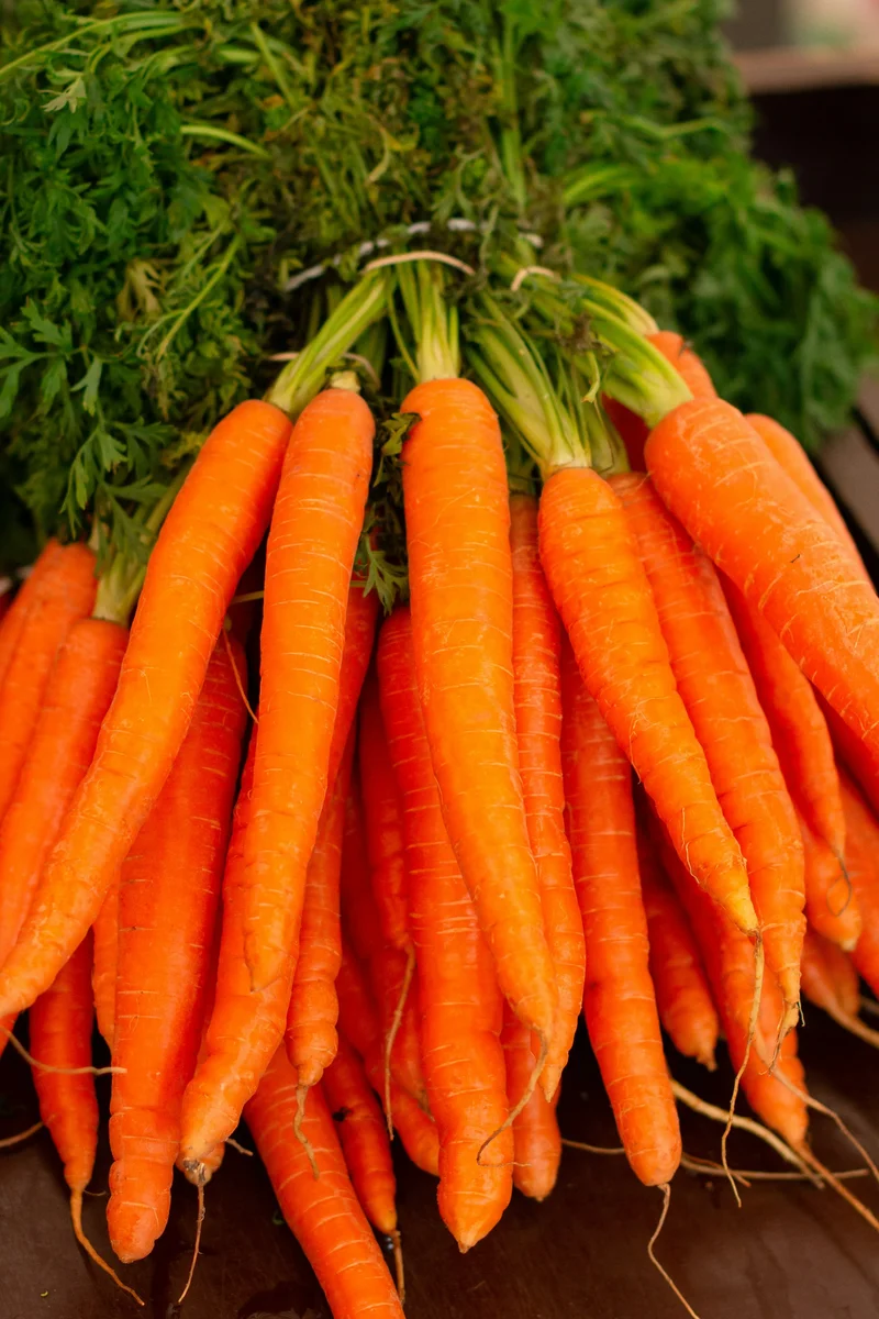 Rainbow Carrots