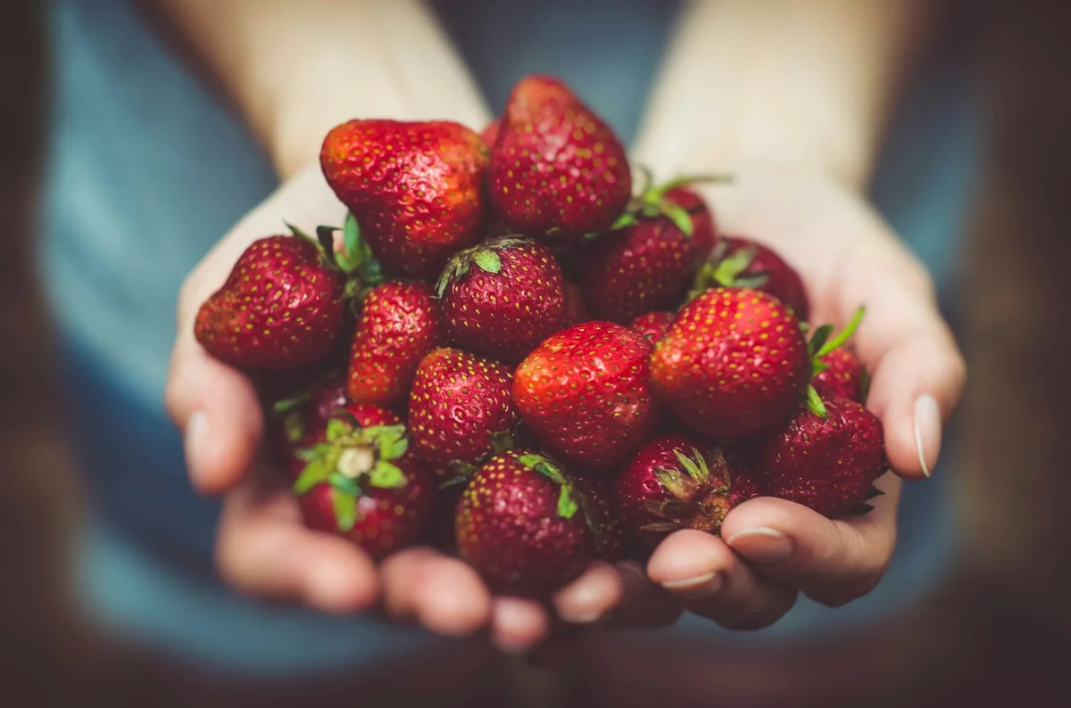 Fresh Berries